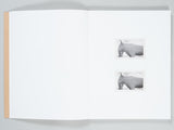 Yael Eban and Matthew Gamber - Dead Ringer