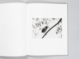 Jesse Lenz - The Seraphim (Signed)