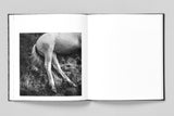 Mimi Plumb - Megalith-Still