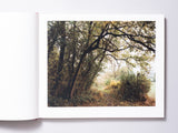 John Spinks - Harrowdown Hill (Signed)