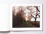 John Spinks - Harrowdown Hill (Signed)
