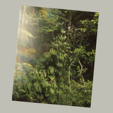 Jenni Toivonen - Are We There