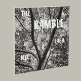 Pre-Order: Arthur Tress - The Ramble, NYC 1969