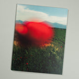 Stephanie Stamatis - Casting Pearls