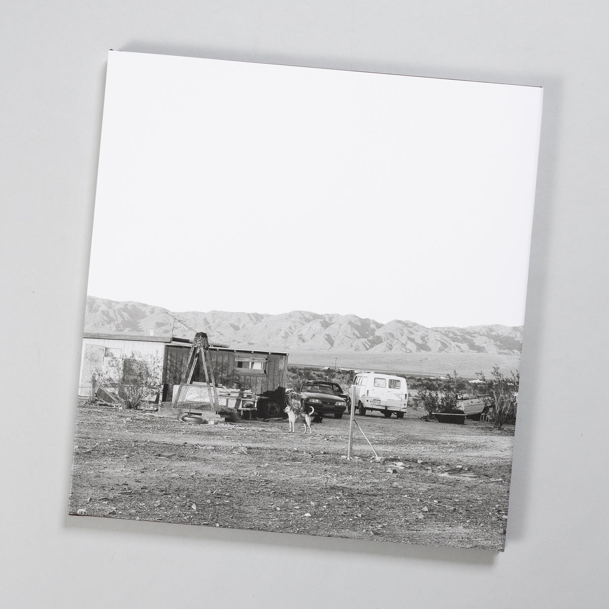 John Divola - Dogs Chasing My Car in the Desert – Baltimore Photo