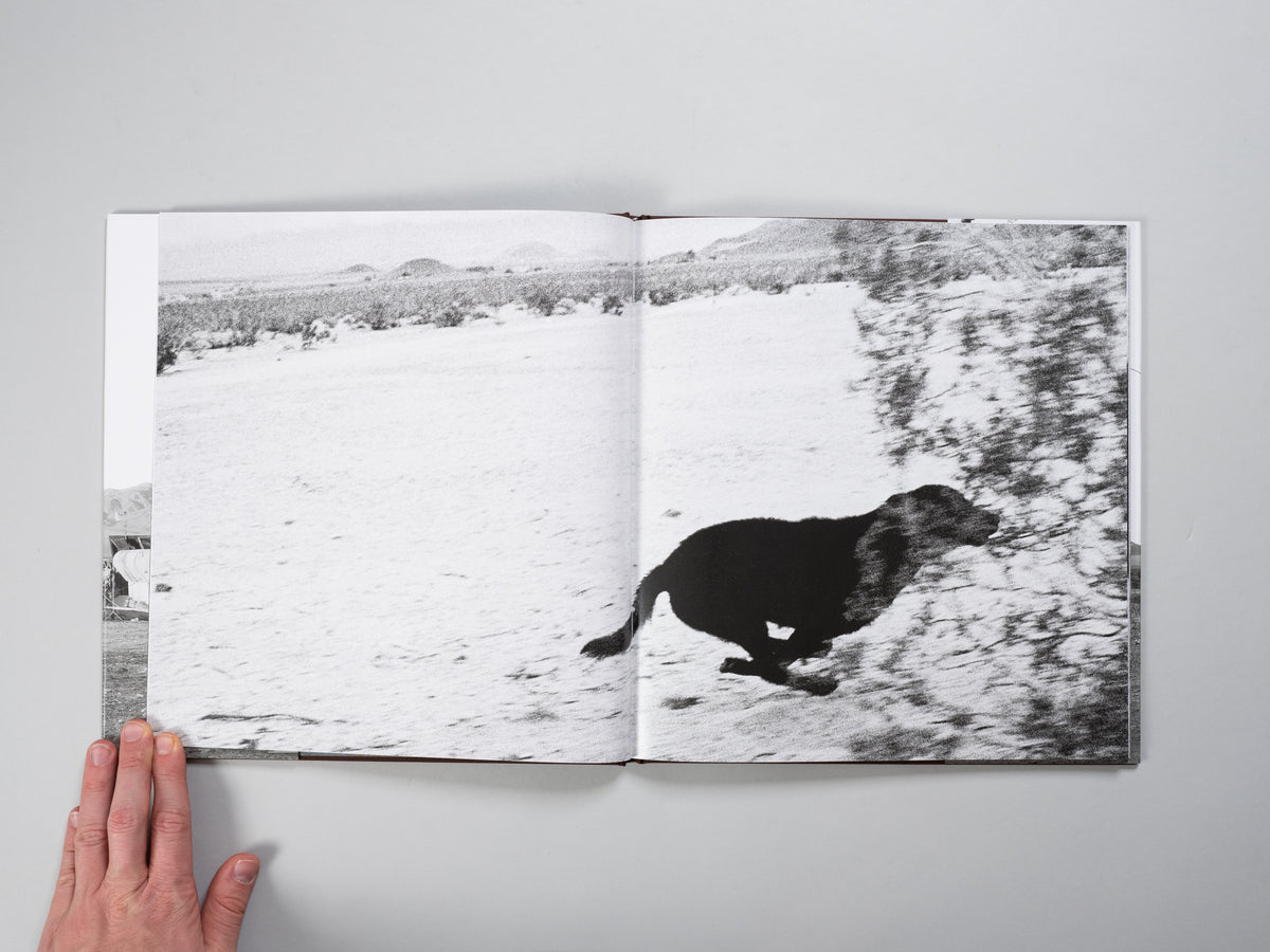 John Divola - Dogs Chasing My Car in the Desert – Baltimore Photo