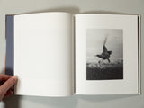 Jan Lehner - Yield