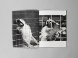 Robert Frank: Portfolio