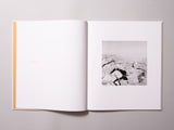 Robert Adams - On Lookout Mountain
