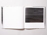 Dawoud Bey - Elegy