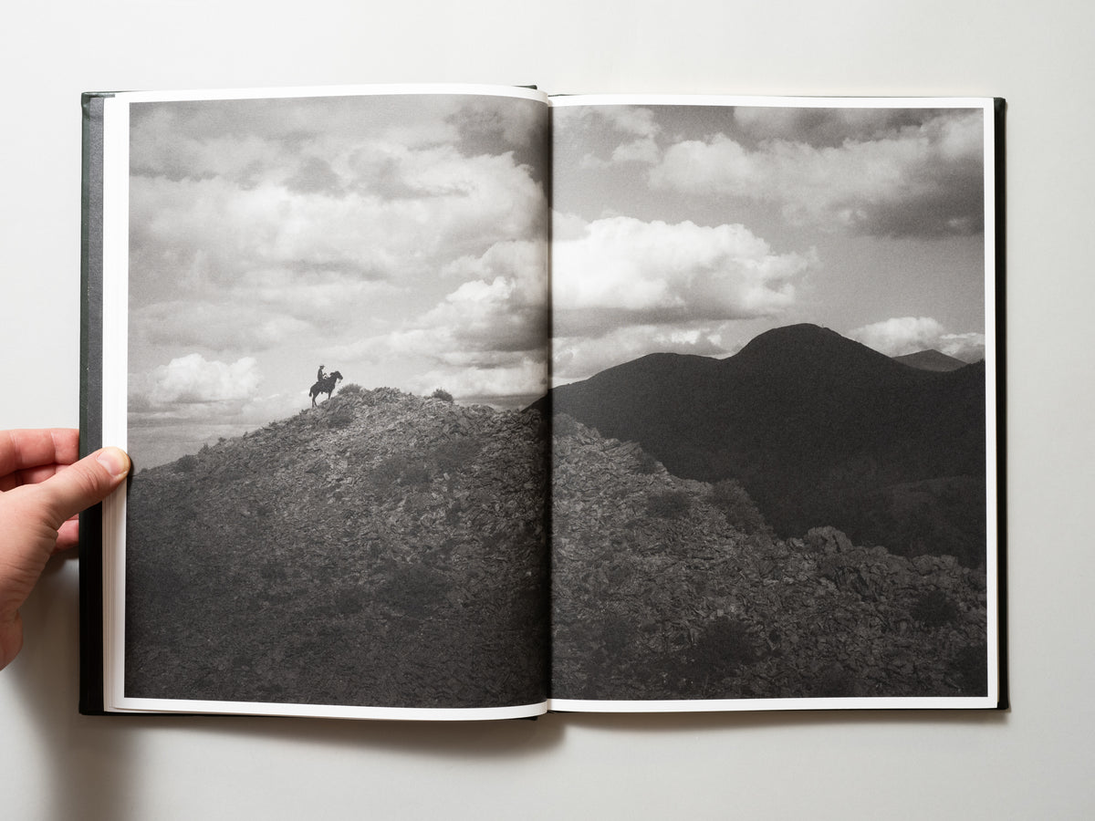 DSCF6976_1200x1200.jpg?v=