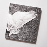 Mimi Plumb - Megalith-Still