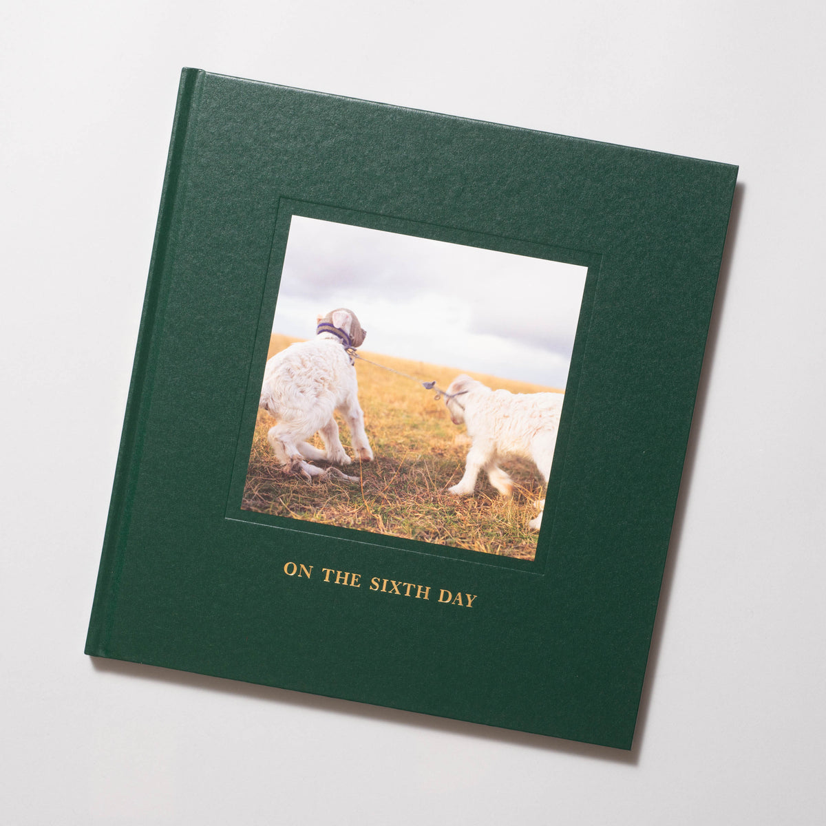 Alessandra Sanguinetti - On The Sixth Day (Signed) – Baltimore