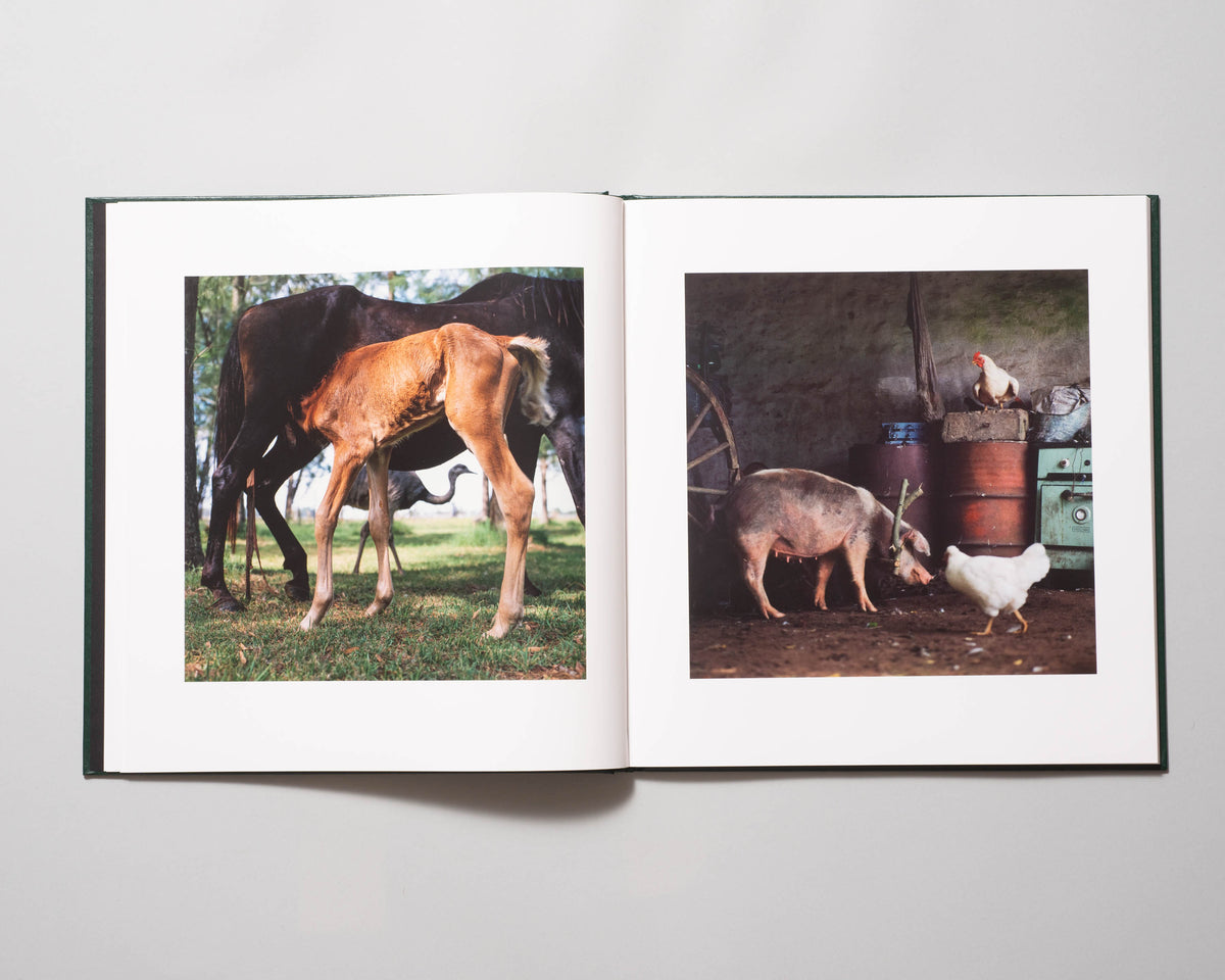 Alessandra Sanguinetti - On The Sixth Day (Signed) – Baltimore