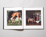 Alessandra Sanguinetti - On The Sixth Day (Special Edition)