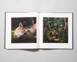 Alessandra Sanguinetti - On The Sixth Day (Special Edition)