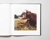 Alessandra Sanguinetti - On The Sixth Day (Signed)