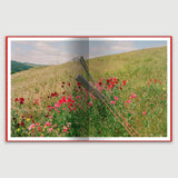 Brian Chorski - Another Patch of Sky