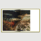Pre-Order: Laura McCluskey - Close to Home