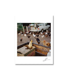 Alessandra Sanguinetti - On The Sixth Day (Special Edition)