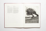 Pradip Malde - From Where Loss Comes