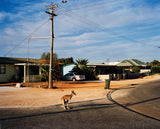Pre-Order: Trent Parke - Coming Soon