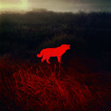 Pre-Order: John Divola - Sheila