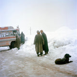 Pre-Order: Sohrab Hura - Snow (Signed)