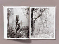 Pre-Order: Ian Bates - The Weight of Ash (Signed w/ Print)