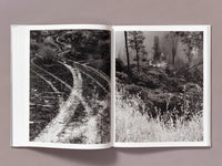 Pre-Order: Ian Bates - The Weight of Ash (Signed w/ Print)