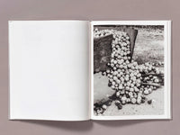 Pre-Order: Ian Bates - The Weight of Ash (Signed w/ Print)