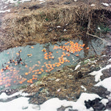 Pre-Order: Sohrab Hura - Snow (Signed)