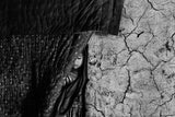 Pre-Order: Lorenzo Tugnoli - It Can Never Be The Same
