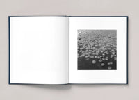 Marjolein Martinot - Riverland