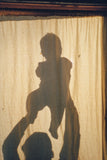 Pre-Order: Trent Davis Bailey - Son Pictures (w/ BPS Exclusive Print)