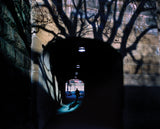 Pre-Order: Trent Parke - Coming Soon