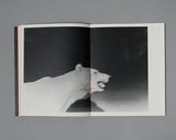 Pre-Order: Duncan Wright - Dancing Unconscious