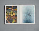 Pre-Order: Duncan Wright - Dancing Unconscious