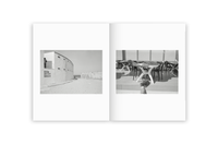 Irina Rozovsky & Mark Steinmetz - Insieme (Signed)