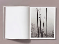 Pre-Order: Ian Bates - The Weight of Ash (Signed w/ Print)