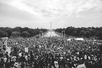 Mel D. Cole - American Protest