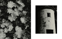 Adam Friedlander - Daytime and Distant