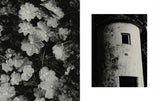 Adam Friedlander - Daytime and Distant