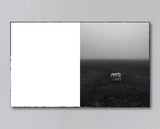 Martin Amis - Reverie (Signed)