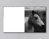 Martin Amis - Reverie (Signed)