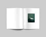 Carl Wooley - Collider