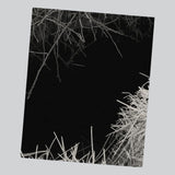 Martin Amis - Reverie (Signed)