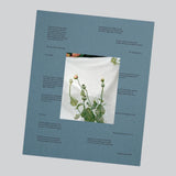 Thomas Duffield - Poppy Promises