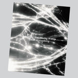 Elliott Kreyenberg - Something Was Missing Within