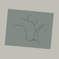 Pre-Order: Mark Ruwedel - The Western Edge